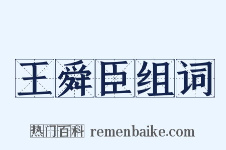王舜臣组词是什么意思的图片